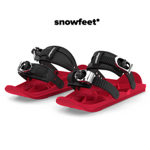 Load image into Gallery viewer, Snowfeet II