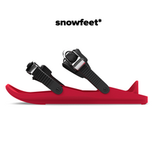 Load image into Gallery viewer, Snowfeet II
