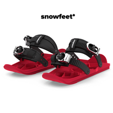 Load image into Gallery viewer, Snowfeet II
