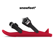 Load image into Gallery viewer, Snowfeet II
